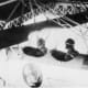 Aircrew in their airplane that is attached to the airship USS Macon.