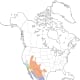 Map showing the range of the Scott's oriole.