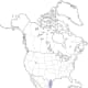 Map showing the limited range in the United States of the Audubon's oriole.