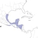 Map showing the year-round range of the Altamira oriole.
