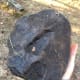 I found this in my own backyard. Probably once the Tuscaroras who lived here used it to make arrowheads. Thank you for showing me to help me understand your ways!