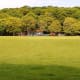 Endcliffe Park. Sheffield.