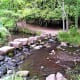 Stepping stones across the stream in Endcliffe Park.