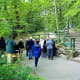The woodland setting of the memorial.