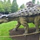 Dyoplosaurus