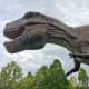 A close-up view of the head of theTyranosaurus rex model