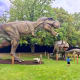Tyrannosaurus rex