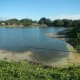 Fish pond is an example of a man-made ecosystem.