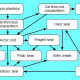 Arctic food web in a natural ecosystem