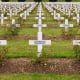Cemetery is an example of a man-made ecosystem.