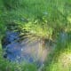 Small pond is an example of a microecosystem.