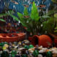 Aquarium is an example of a microecosystem.