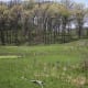 Nachusa Grasslands is an example of a natural ecosystem.