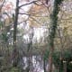 Small pond is an example of a microecosystem.