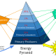 Energy pyramid in an ecosystem