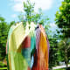 “Matriarch” by Kaneem Smith