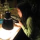 Step 2: Put the candy groups about 2 inches away from a 60 watt light bulb.