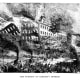 Burning of Barnum's Museum in 1865.