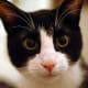 Look into my eyes, deeply into my eyes ... .