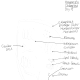 Figure 3. Labeled diagram of a chloroplast.