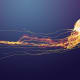 most-dangerous-animals-on-the-planet