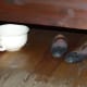 Chamber pot
