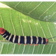 Giant Sphinx Caterpillar