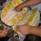 A jackfruit that has been cut open
