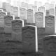 Grave makers at the camp on Sullivant Avenue.