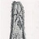 The ciliated protozoan Paramecium caudatum, as drawn by Alfred Kahl.