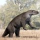 Megatherium americanum was a giant sloth that lived in South America during the Pleistocene