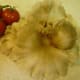 Displayed next to some Campari tomatoes so that the size of this large mushroom can be appreciated
