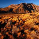 Argentina, Patagonia, grassy plateau, mountains in background