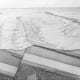 Figure shows exact structure of earth's crust beneath the Mountain