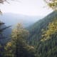 Harz Mountain
