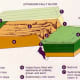 Formation of block mountains