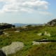 Harz area