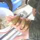 Our finds.