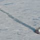 USCGS Healy and CCGS St. Laurent cooperate in a sonar survey of the Arctic Ocean seafloor, despite the clashing territorial claims the two nations stake in the High Arctic. Image courtesy NRC.