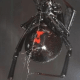 black-widow-identification