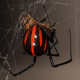 Another beautiful black widow variation.