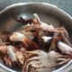 spicy-crab-currytamilnadu-style