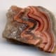 fossils-and-sedimentary-rocks