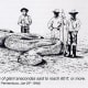 Fanciful drawing of the monstrous snake Fawcett reported seeing