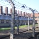 There was double barbed wire fences surrounding the concentration camp to prevent escapers. If an escapee attempted they would be shocked by an electrica current that was fatal.