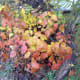 Poison Ivy in the fall season.