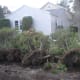 Trees toppled in Long Island