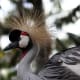the-most-beautiful-animals-part-2