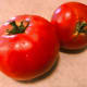 Use your homegrown tomatoes in this recipe!