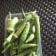Our okra (ladies' fingers), which we harvest every other two days.